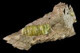 Yellow-Green Fluorapatite Crystal in Calcite - Ontario, Canada #137102-1